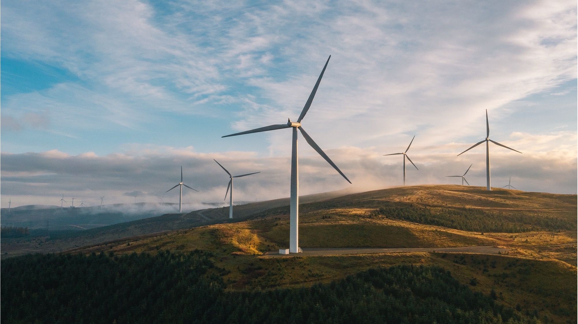 sustainable projects