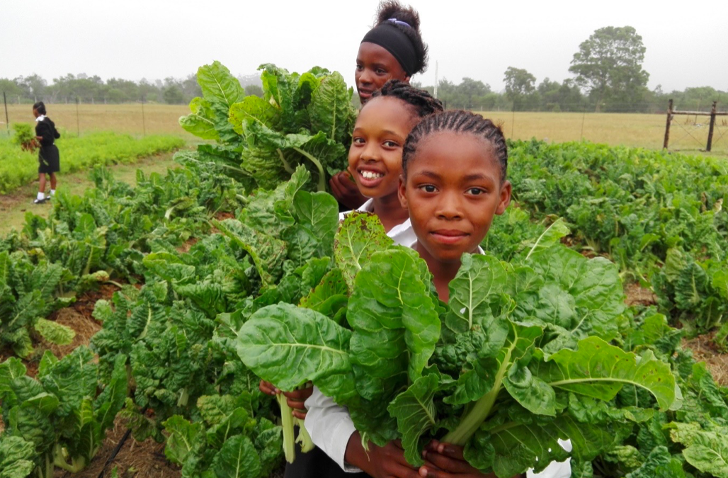 Innovative Urban Food Project Turning Dump Sites into Gardens of Hope